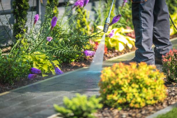 Best Sidewalk and Walkway Cleaning  in Madera Acres, CA
